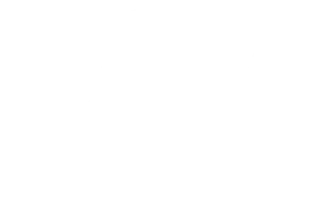 AW, Business Coach & Strategist