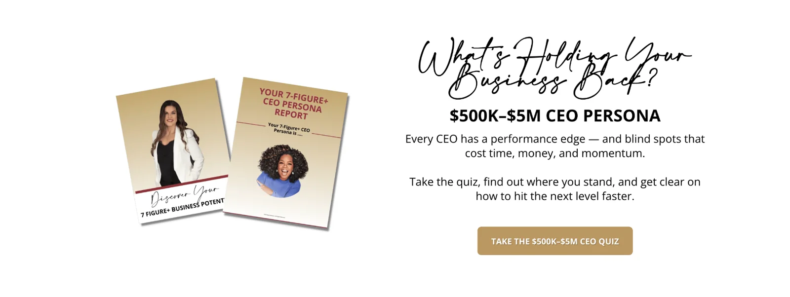 $250K–$5M CEO Persona report mockups